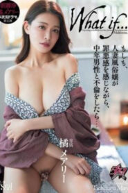 DASS-541